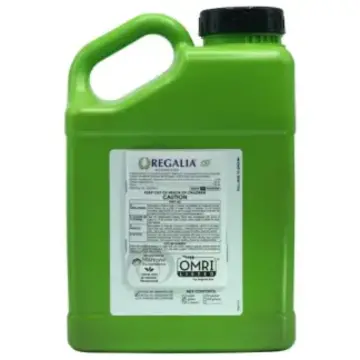  Rx Green Bloom A 1 gal