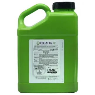 Rx Green Bloom A 1 gal