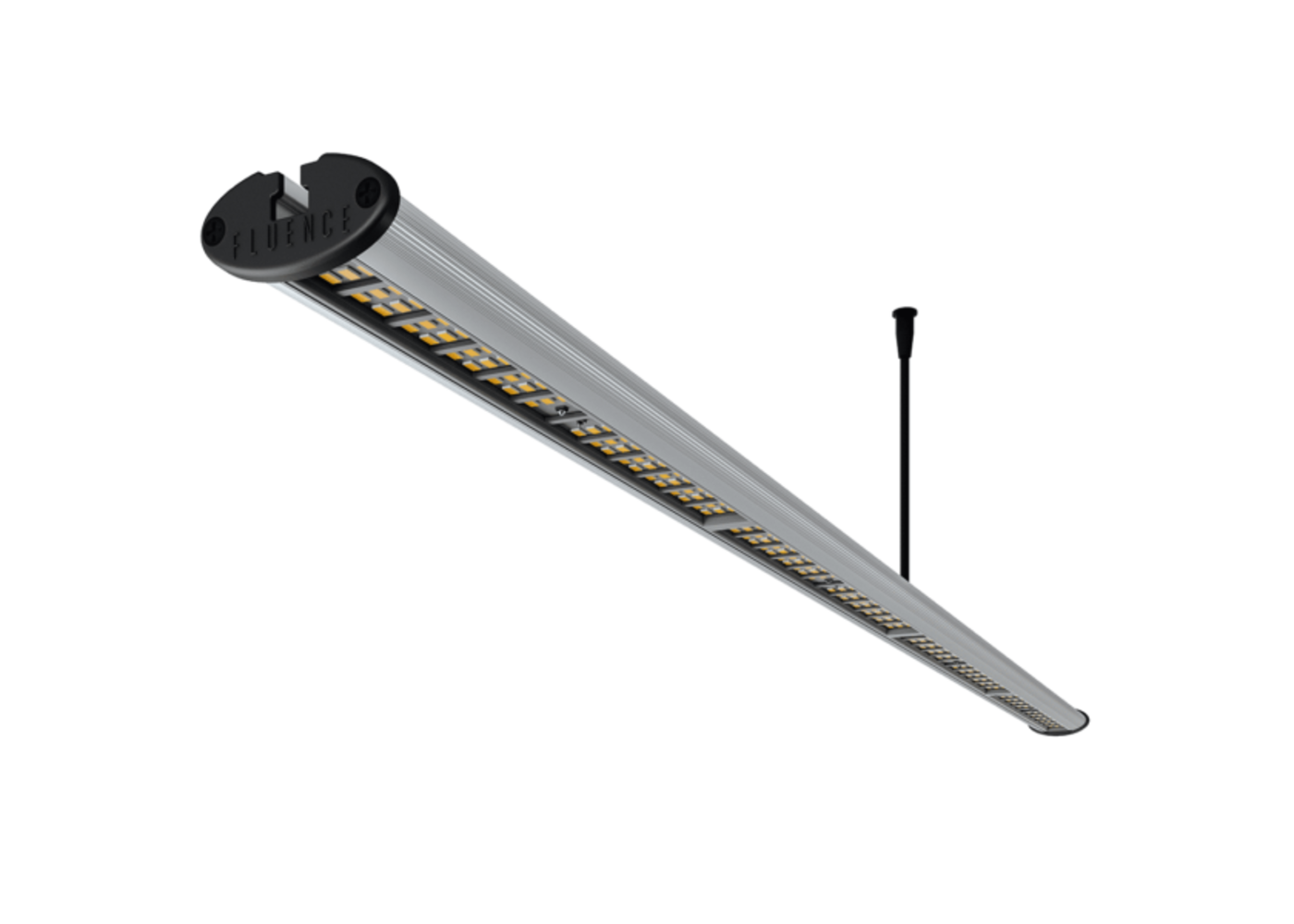 Fluence RAY44  AnthoSpec FIXTURE