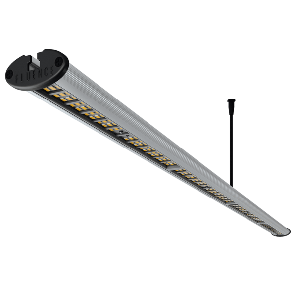 Fluence RAY44  AnthoSpec FIXTURE