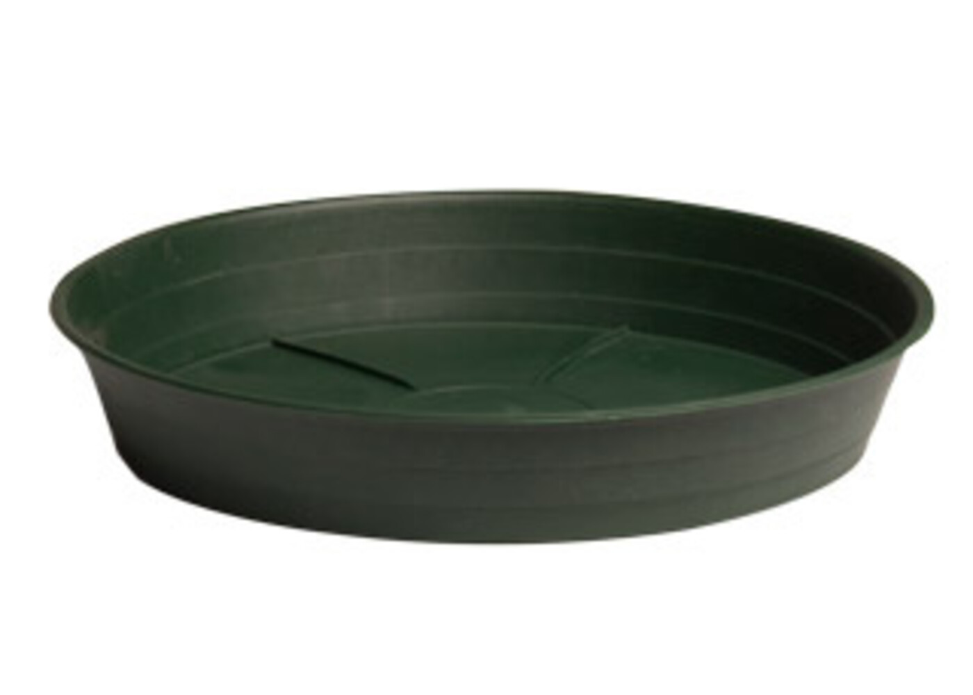 Green Premium 12" Saucer