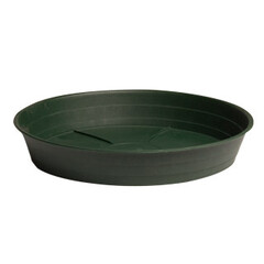 Green Premium 12" Saucer