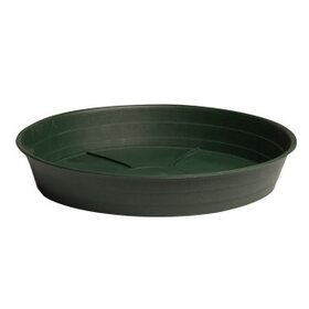  Green Premium 12" Saucer