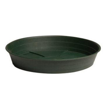  Green Premium 12" Saucer