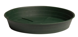 Green Premium 12" Saucer