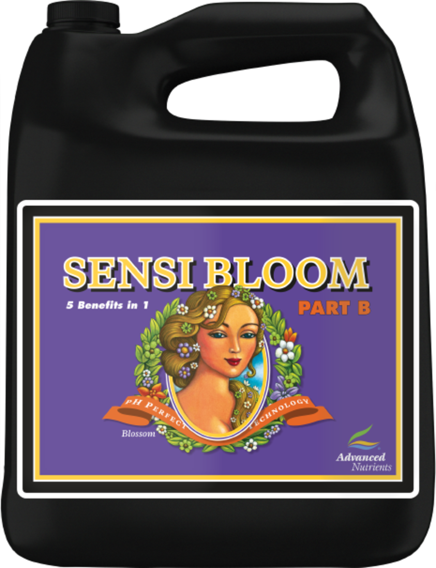 Advanced Nutrients Advanced Nutrients Sensi Bloom B pH Perfect 4L