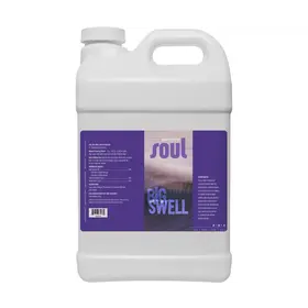  Soul Big Swell 2.5 gal