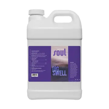  Soul Big Swell 2.5 gal