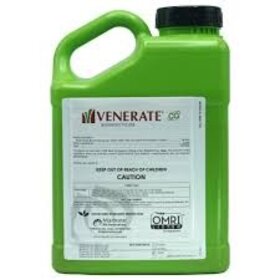 Marrone Bio Innovations Marrone Bio Innovations Venerate CG Gallon