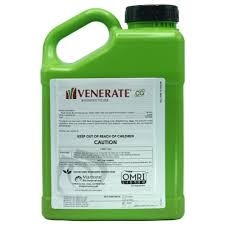 Marrone Bio Innovations Marrone Bio Innovations Venerate CG Gallon