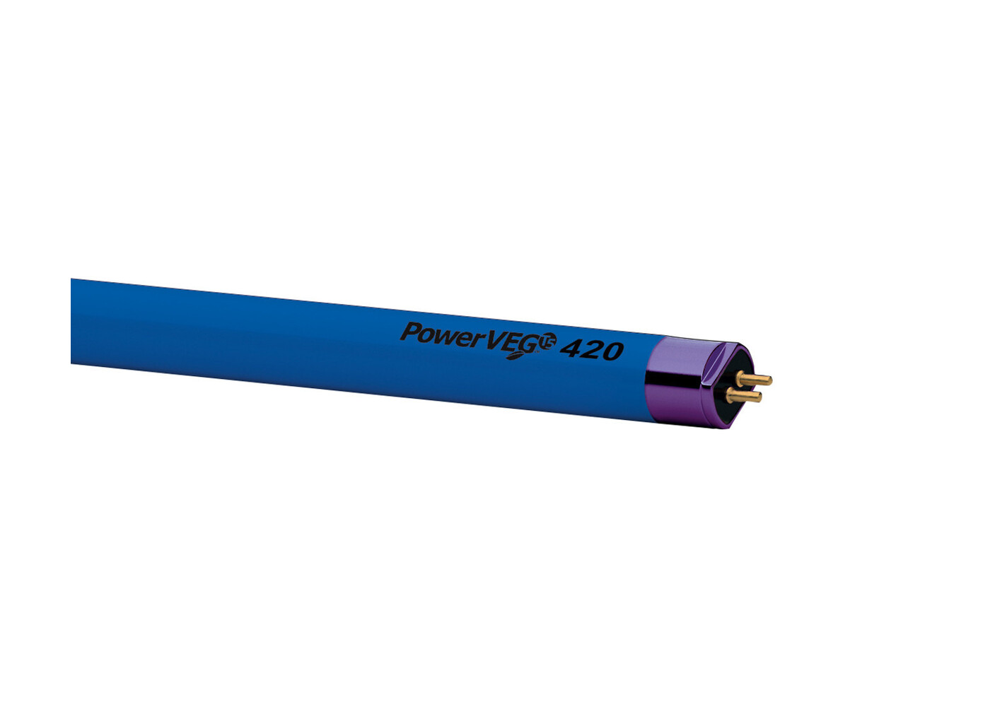 Eye Hortilux PowerVeg T5 2' 420 Dark Blue Lamp