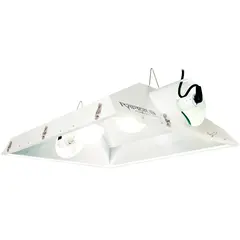 Raptor 8" Air-Cooled Reflector w/Dual Lamps