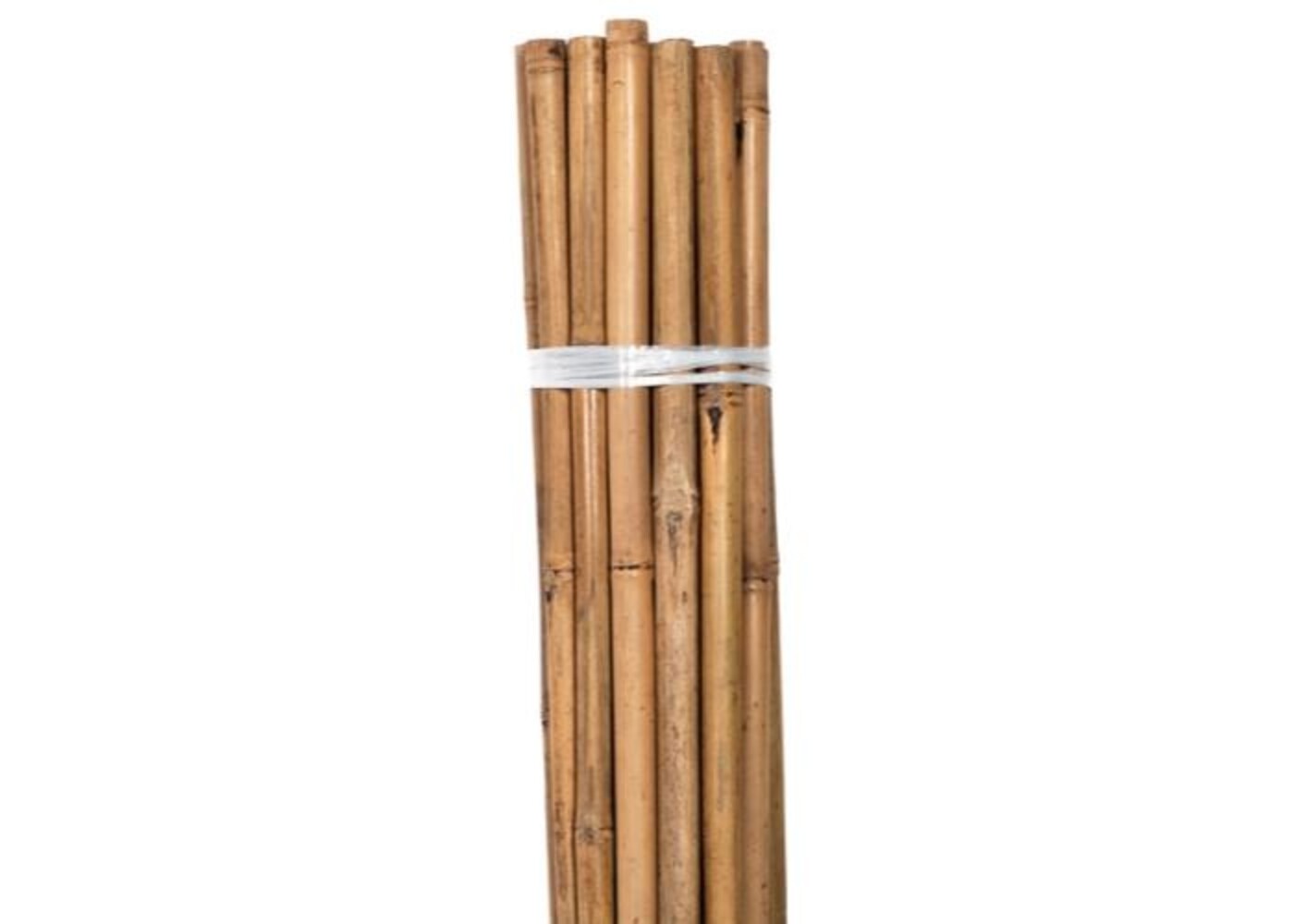 Bond Bond Natural Bamboo HD Stakes 6 ft  6/Bag