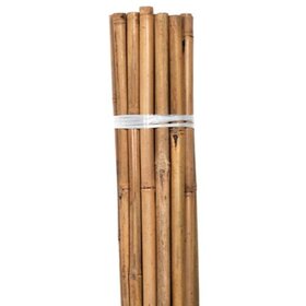 Bond Bond Natural Bamboo HD Stakes 6 ft  6/Bag