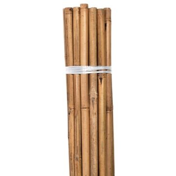 Bond Bond Natural Bamboo HD Stakes 6 ft  6/Bag