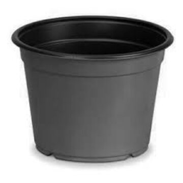  Dillen Round 1.25qt Pots Clay/Black