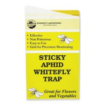 SeaBright Laboratories Sticky Aphid Whitefly Trap 5/pk