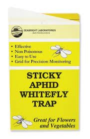 SeaBright Laboratories Sticky Aphid Whitefly Trap 5/pk