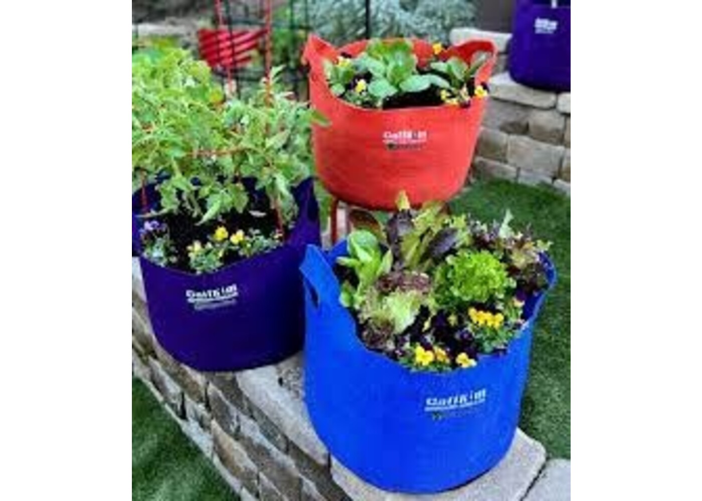 Smart Pot Smart Pot 10gal