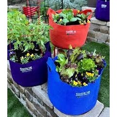 Smart Pot Smart Pot 10gal