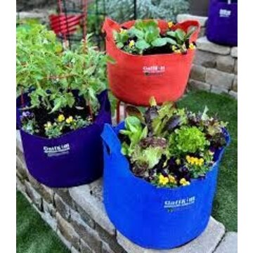 Smart Pot Smart Pot 10gal