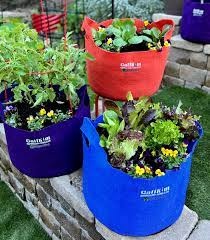 Smart Pot Smart Pot 10gal
