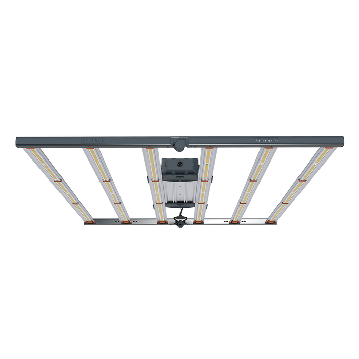 Fluence Spydr 2P 120V w/6' cord FIXTURE