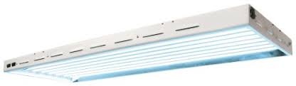 Sun Blaze & Solar Flare Sun Blaze T5 HO 48 - 4 ft 8 Lamp - 120 Volt