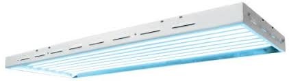 Sun Blaze & Solar Flare Sun Blaze T5 HO 48 - 4 ft 8 Lamp - 240 Volt