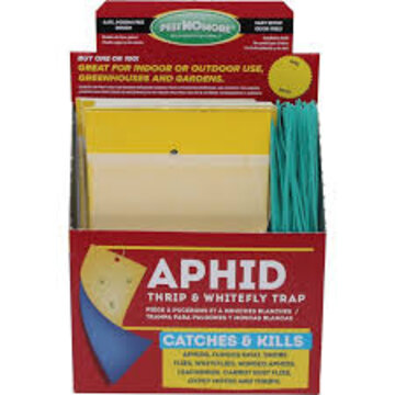 PestNoMore PestNoMore Aphid, Whitefly & Thrip Sticky Trap