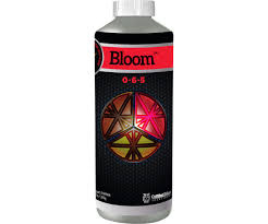 Cutting Edge Solutions Cutting Edge Solutions Bloom 1qt