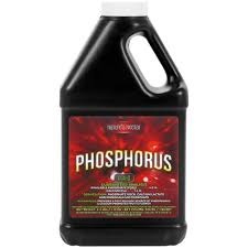 Natures Nectar Nature's Nectar Phosphorus Quart