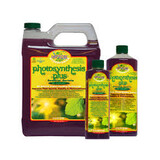 Microbe Life Microbe Life Photosynthesis Plus 16 oz