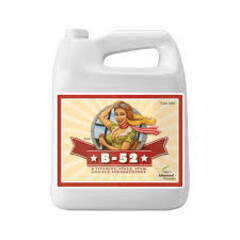 Advanced Nutrients Advanced Nutrients B-52 4L