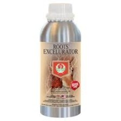 House & Garden House and Garden Roots Excelurator Silver 250 ml (16/Cs)