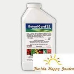 botanigard Botanigard ES 1qt