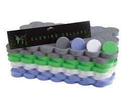 Super Sprouter Super Sprouter  Multicolor 2" Clone Collar EACH