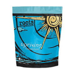 Aurora Innovations Uprising Foundation 3 lb