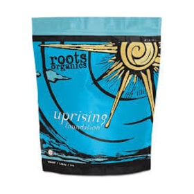 Aurora Innovations Uprising Foundation 3 lb