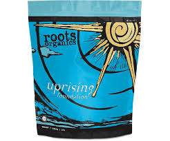 Aurora Innovations Uprising Foundation 3 lb