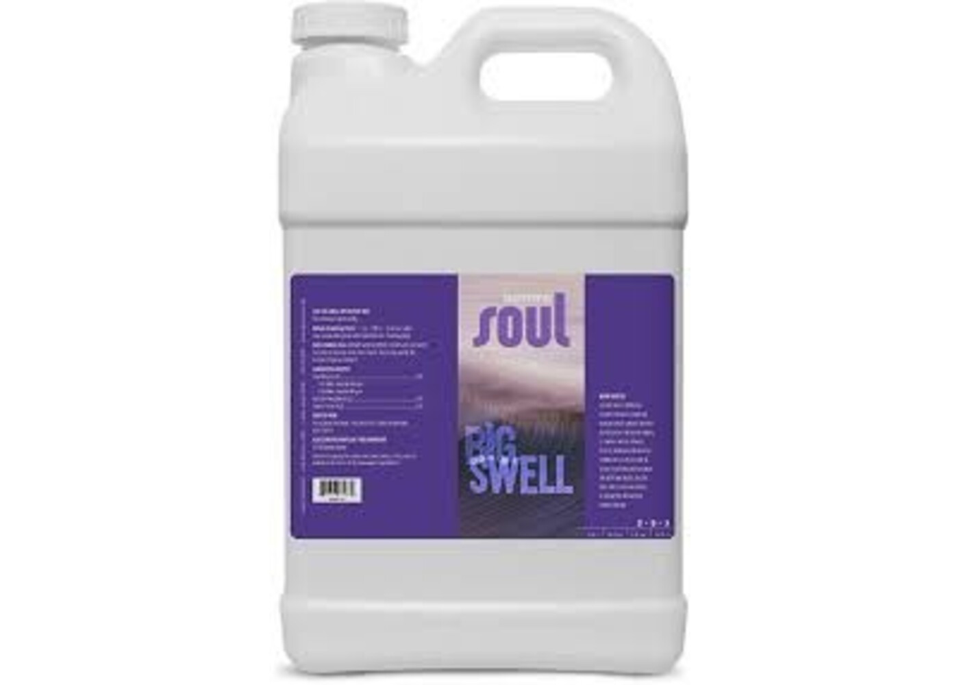 Aurora Innovations Soul Big Swell Gallon