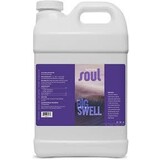 Aurora Innovations Soul Big Swell Gallon