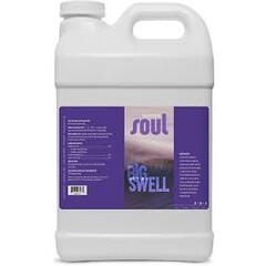 Aurora Innovations Soul Big Swell Gallon