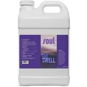 Aurora Innovations Soul Big Swell Gallon