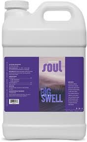 Aurora Innovations Soul Big Swell Gallon