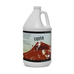 Aurora Innovations Ancient Amber Gallon