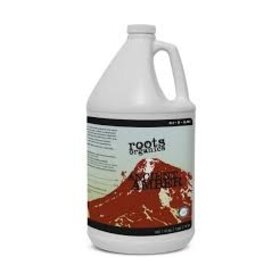 Aurora Innovations Ancient Amber Gallon