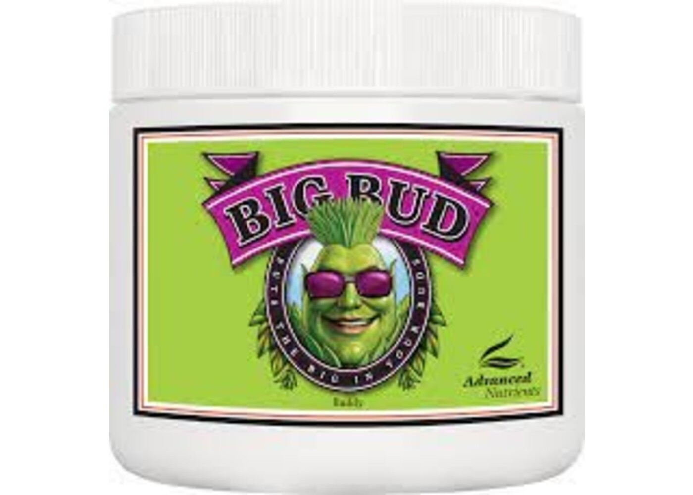 Advanced Nutrients Advanced Nutrients Big Bud Powder 500g