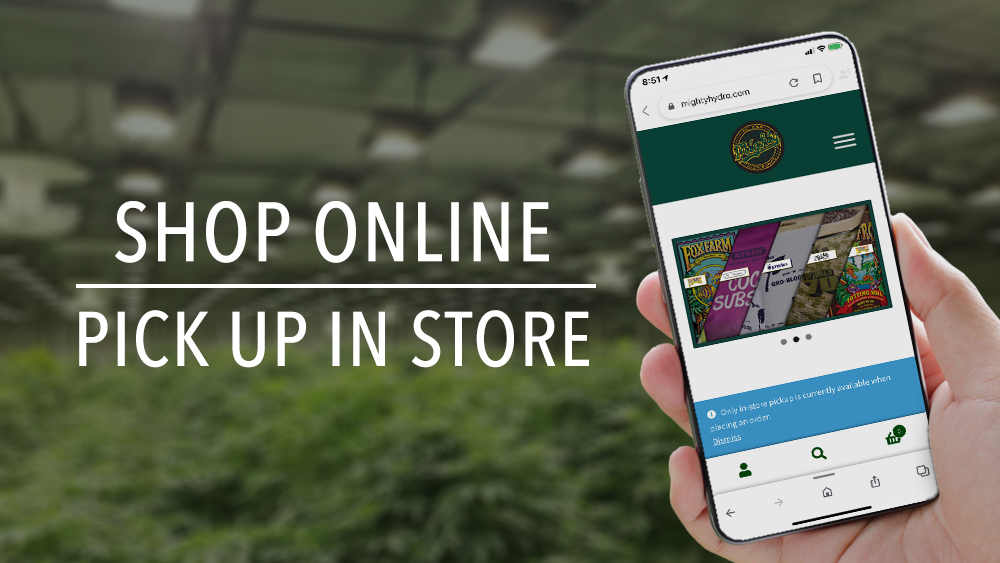 Shop Online