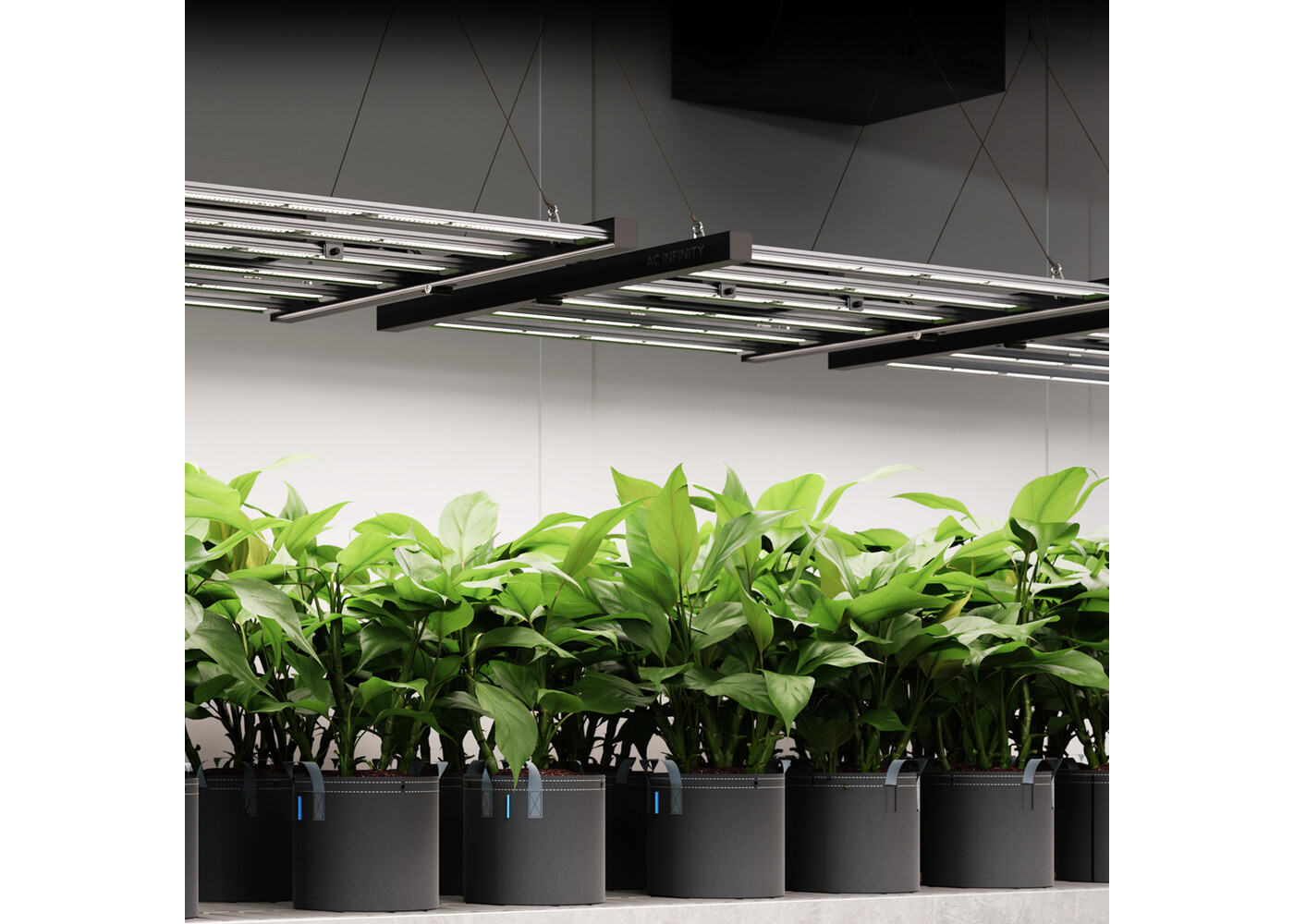 AC Infinity AC Infinity  IONFRAME EVO6, Commercial LED Grow Light, 500W